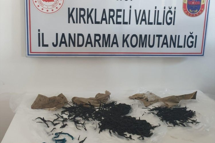 Yasa dışı s&uuml;l&uuml;k avına 147 bin 494 lira ceza