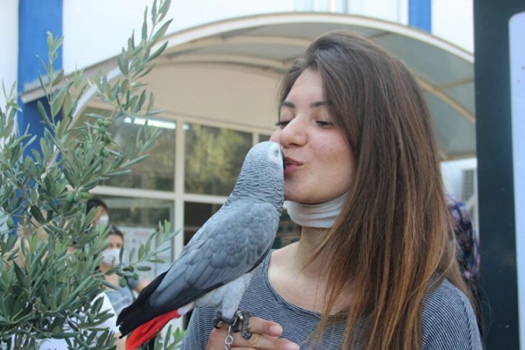 Şans getirsin diye sınava papağanıyla geldi