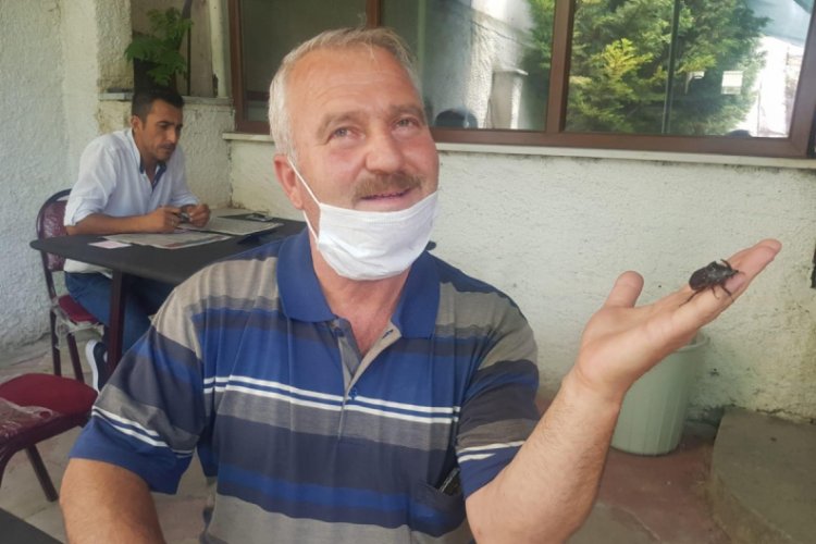Bursalı &ccedil;ift&ccedil;i buldu: "İmkanı olsa elinden tutup gezdiririm"