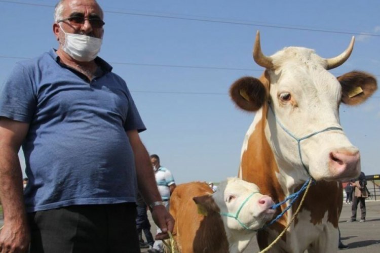 Kurban tedbirleri a&ccedil;ıklandı