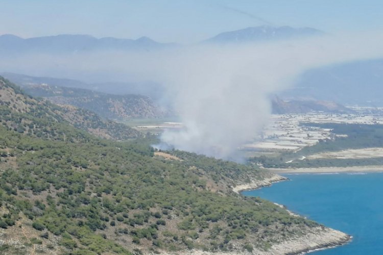 Muğla'da orman yangını