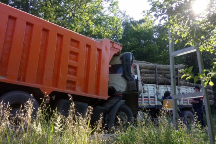 Sinop'ta kamyonlar kafa kafaya &ccedil;arpıştı: 2 yaralı