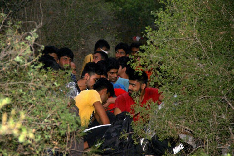 54 d&uuml;zensiz g&ouml;&ccedil;men yakalandı