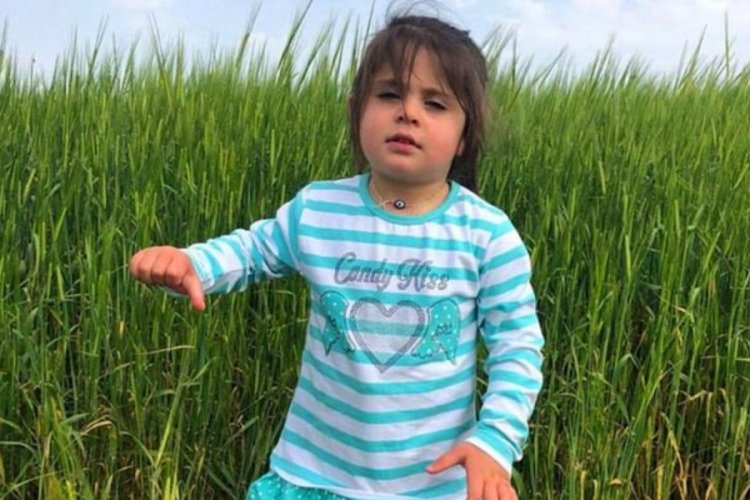 Leyla Aydemir davasında sanıklardan şok savunma
