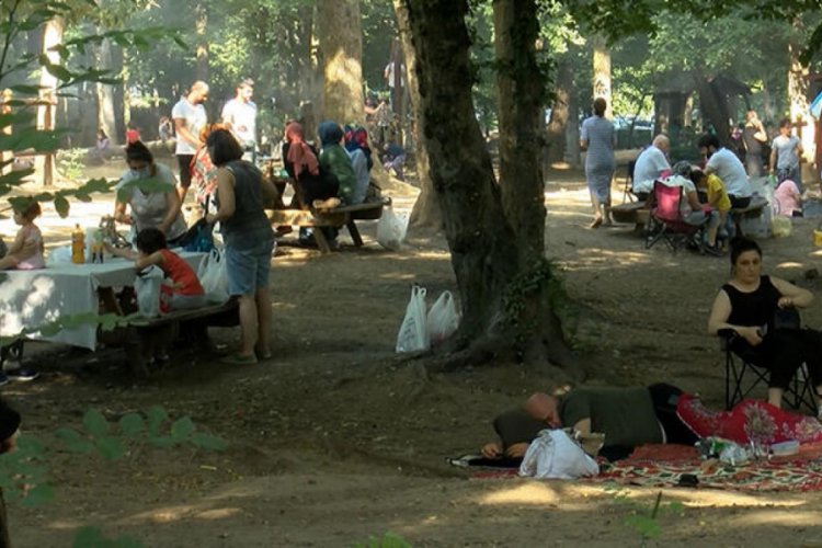 Piknik alanlarına ve plajlara akın ettiler
