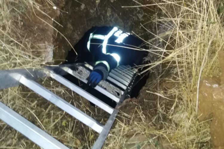Kayıp k&ouml;pek su kuyusunda bulundu