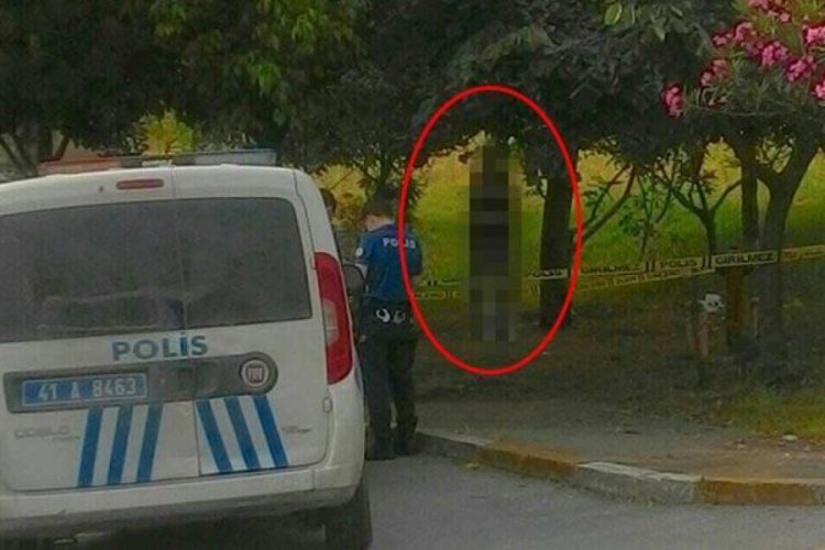 Kocaeli'de bir kişi kendisini ağaca asıp, intihar etti