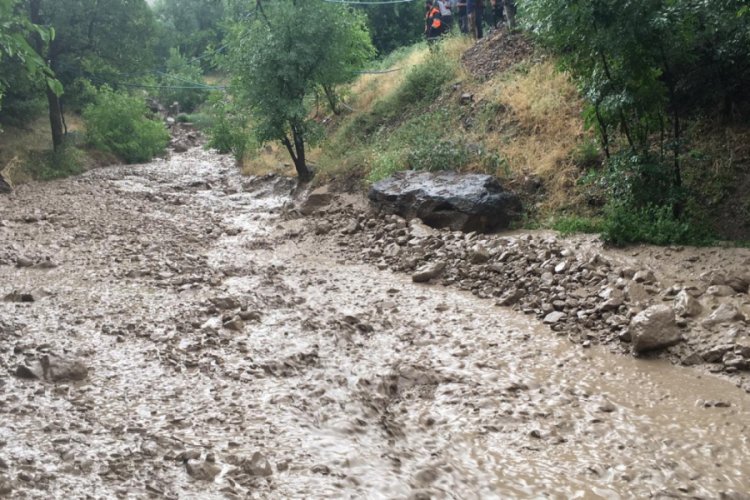 Hakkari-&Ccedil;ukurca kara yolunda sel