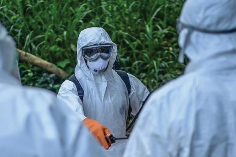 Ebola salgınında can kaybı artıyor