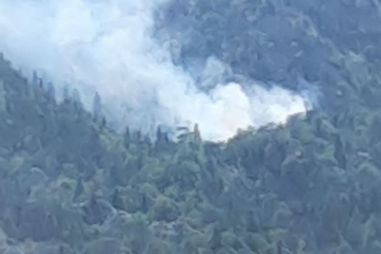 Antalya'daki orman yangını kontrol altına alındı