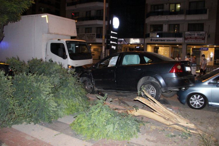 Kediye &ccedil;arpmamak i&ccedil;in park halindeki ara&ccedil;lara &ccedil;arptı