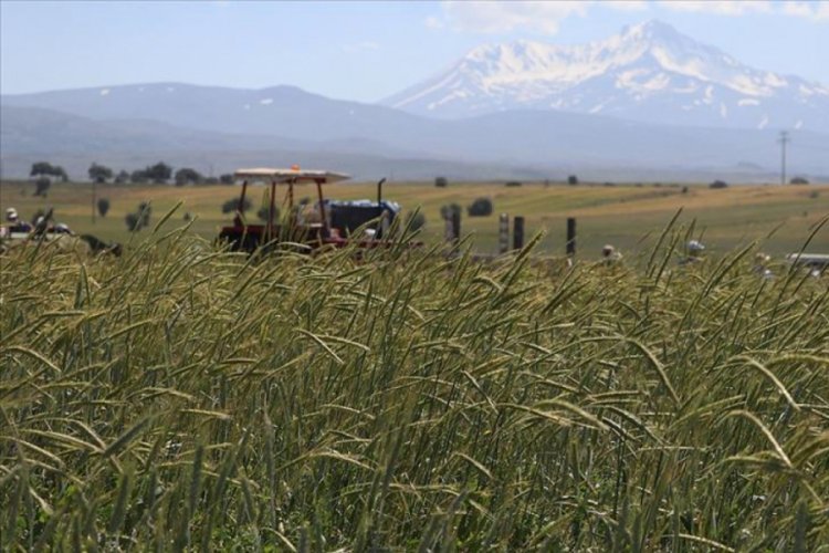 T&uuml;rk tohumları 80 &uuml;lkenin tarım arazilerinde filizleniyor