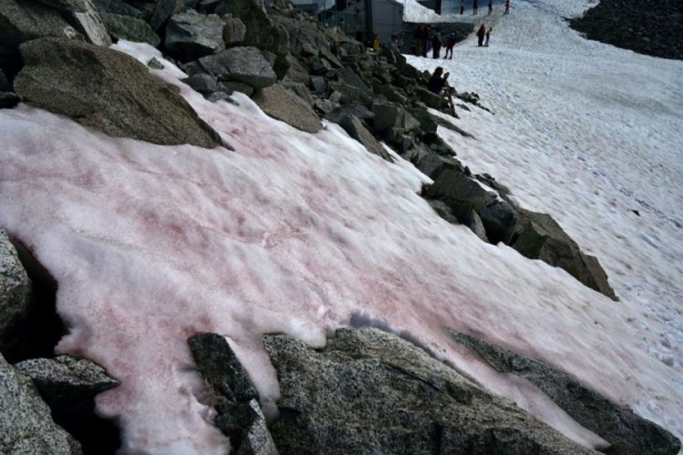 Alpler'de kar pembeleşmeye başladı