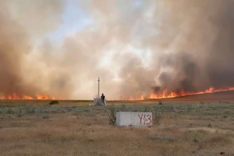 700 d&ouml;n&uuml;m ekili arazi yangında zarar g&ouml;rd&uuml;