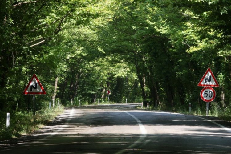Doğal ağa&ccedil; t&uuml;nelli yol kendisine hayran bırakıyor