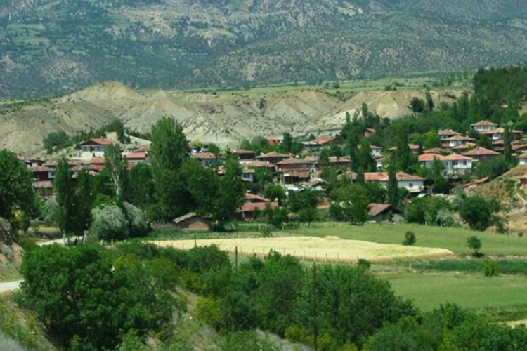 Sinop'ta bir k&ouml;ye corona vir&uuml;s karantinası