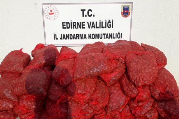 Edirne'de bir ara&ccedil;ta 1 ton ka&ccedil;ak midye ele ge&ccedil;irildi