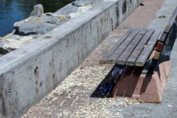&Uuml;sk&uuml;dar sahilinde &ccedil;ekirdek yasağı