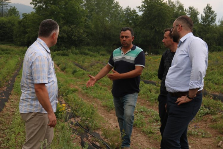 Bursa B&uuml;y&uuml;kşehir &ccedil;ift&ccedil;inin yanında