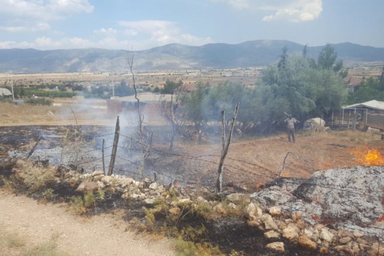 Antalya'da, tellere temas eden kargalar yangına sebep oldu