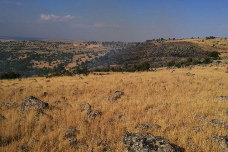 Kilis'te orman yangını paniğe neden oldu