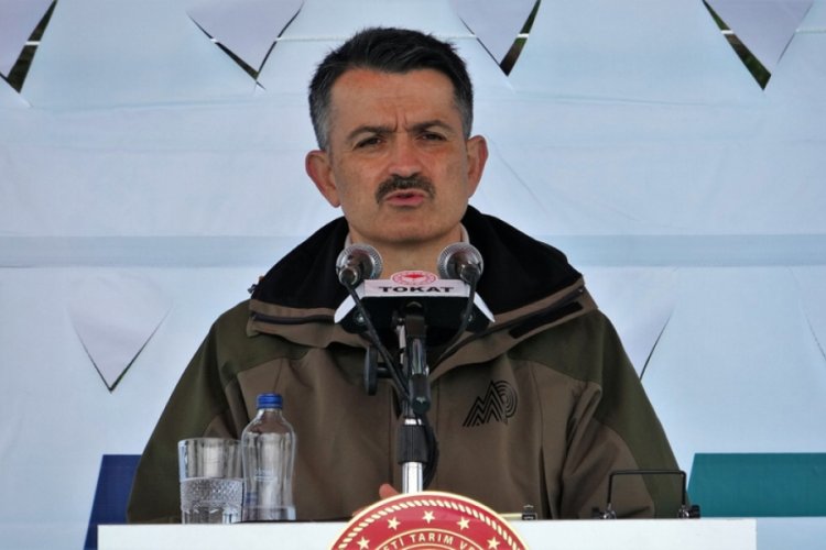 Bakan Bekir Pakdemirli: Buğdayla koyun; gerisi oyun
