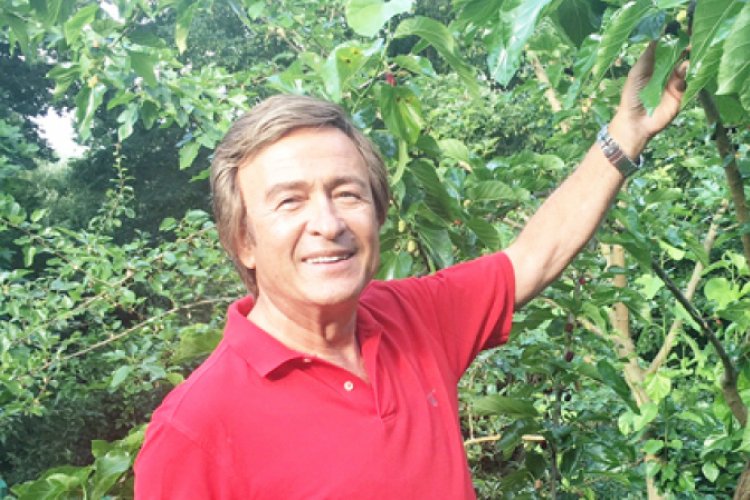 Kendi sebzesini yetiştiriyor