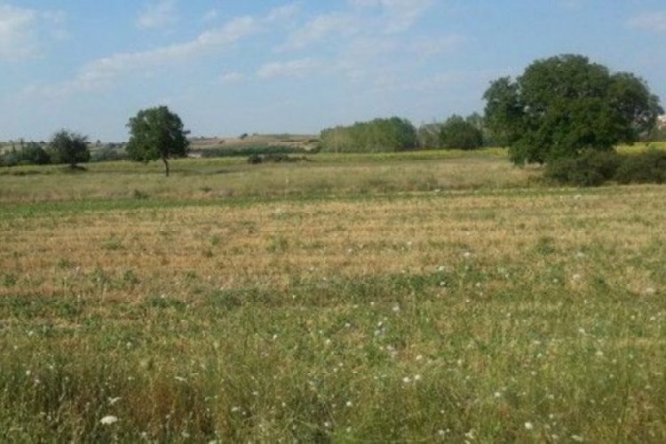 Yılın ilk 6 ayında 182 bin tarla, 154 bin arsa satıldı