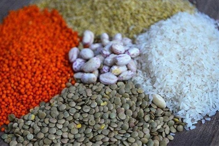 Rekor artış! Bitkisel yağ ihracatı u&ccedil;tu