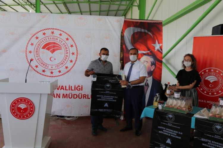 Bursa'da "meyve sinekleriyle biyoteknik m&uuml;cadele" projesi başladı