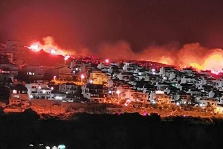 Makilik alanda yangın