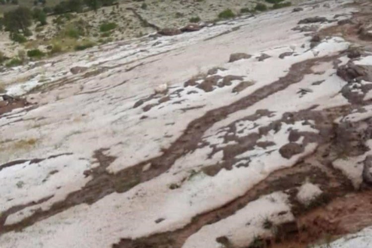 Yağmur ve dolu bir k&ouml;yde ekine zarar verdi