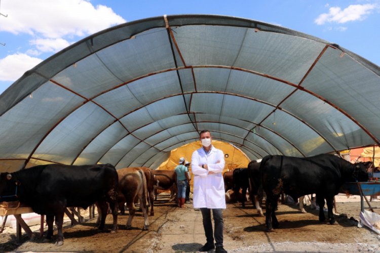 Bilim Kurulu &uuml;yesinden kurban pazarında 'koronavir&uuml;s' uyarısı