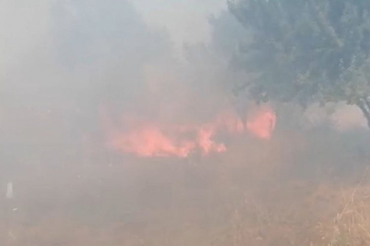 Tekirdağ'da, 80 d&ouml;n&uuml;ml&uuml;k alanda yangın