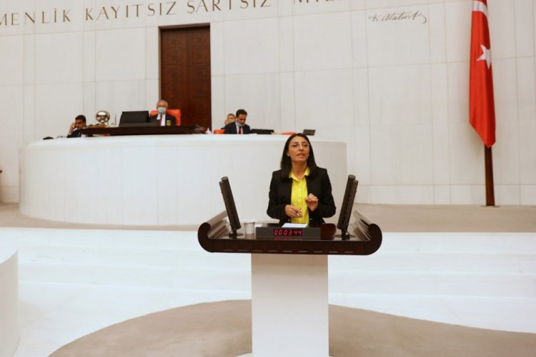 Bursa Milletvekili Kayışoğlu Yenidoğan'daki doğal gaz sorununu Meclis'e taşıdı