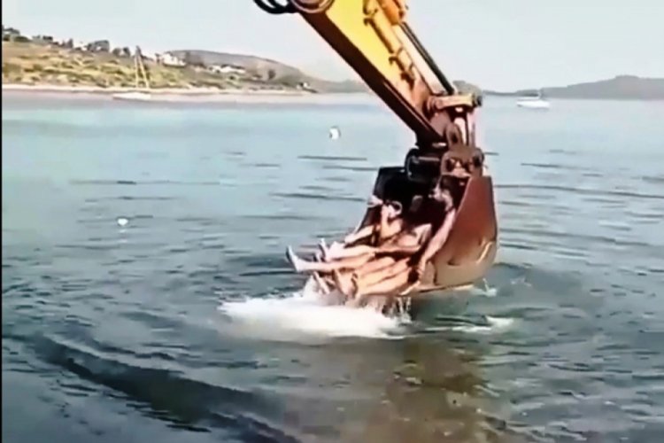 Bodrum'da kep&ccedil;eli deniz keyfi