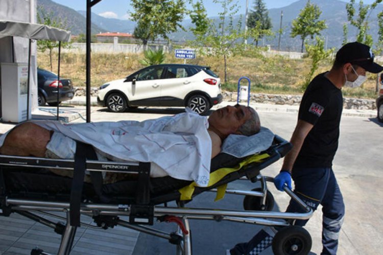 Elektrik sayacı okuyan g&ouml;revli iki pitbullun saldırısına uğradı