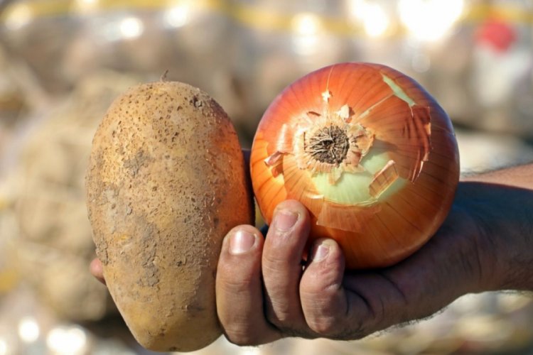 Kuru soğan ve patates ihracatında &ouml;n izin şartı kaldırıldı