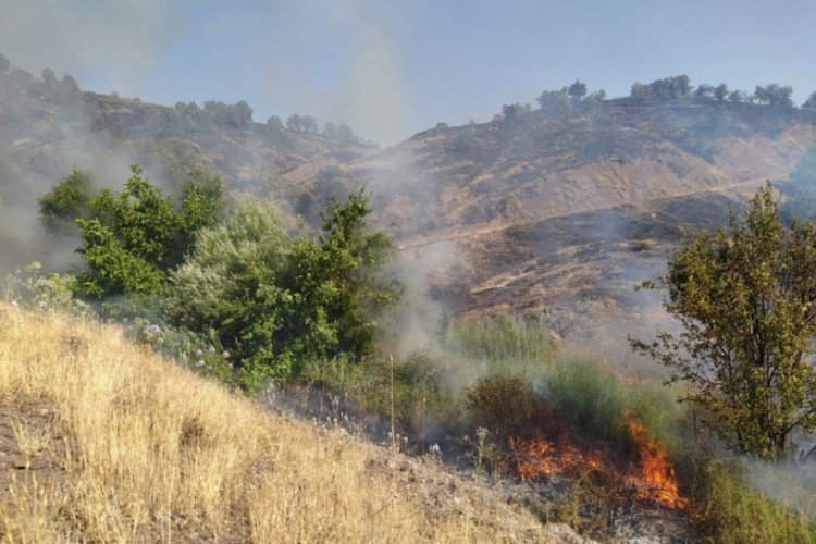 Elazığ'da 2 g&uuml;n s&uuml;ren orman yangını s&ouml;nd&uuml;r&uuml;ld&uuml;