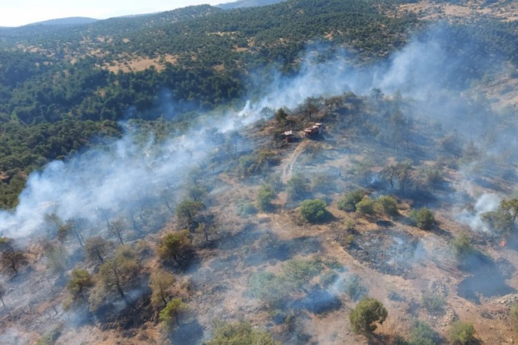 Gaziantep'te korkutan orman yangını