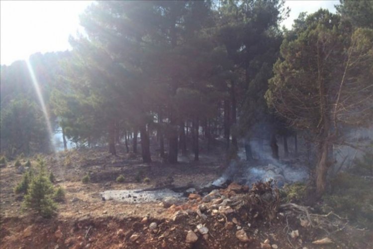 Adana'da orman yangını