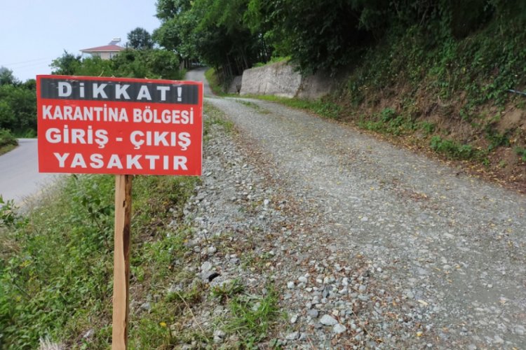 Ordu'da iki sokağa karantina