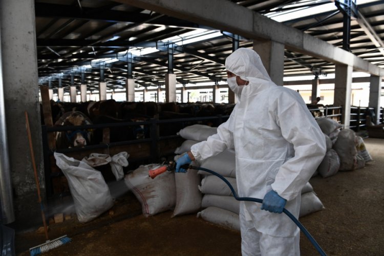 Bursa'da kurban satış yerleri sineklere karşı ila&ccedil;landı