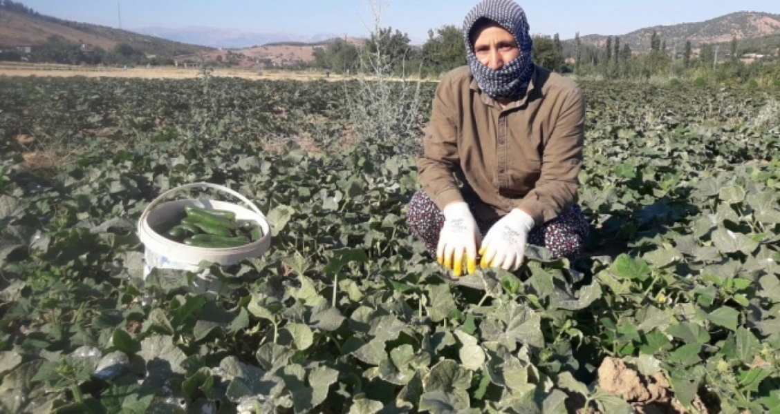 Ev hanımıydı, kendi işinin patronu oldu