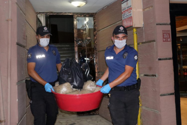 Polis, evde ele ge&ccedil;irilen 15 kilo bonzaiyi leğenle taşıdı