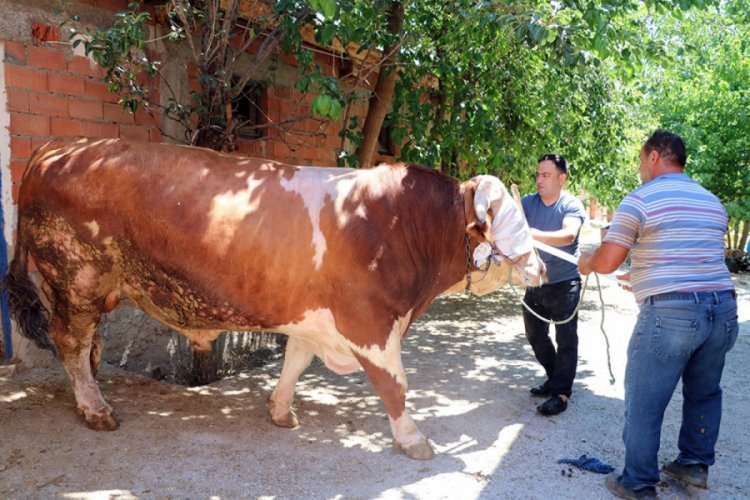 Tam 2 tonluk 'Yiğit' otomobil fiyatında
