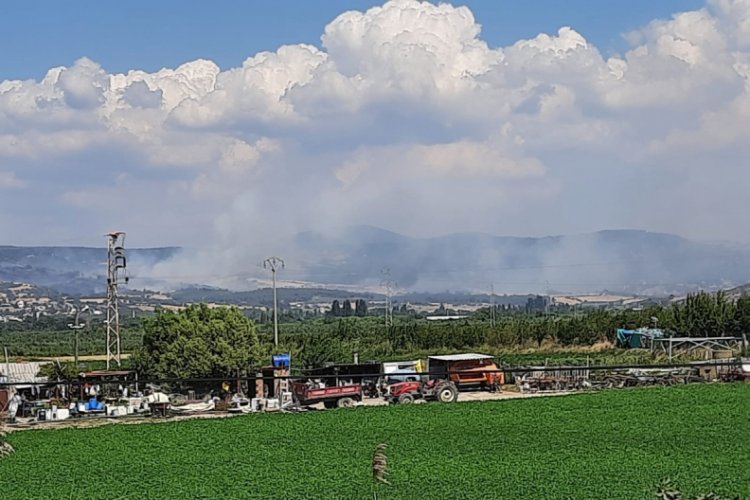&Ccedil;anakkale'de orman yangını