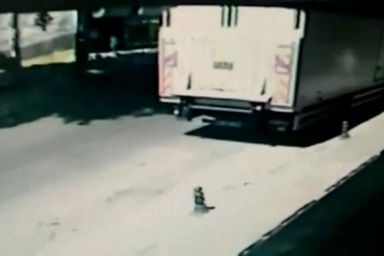 &Ccedil;ınar ağacı kamyonun &uuml;zerine devrildi
