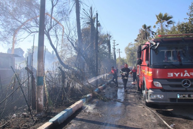 Muğla'da &ccedil;ıkan yangına m&uuml;dahale eden herkes yandı
