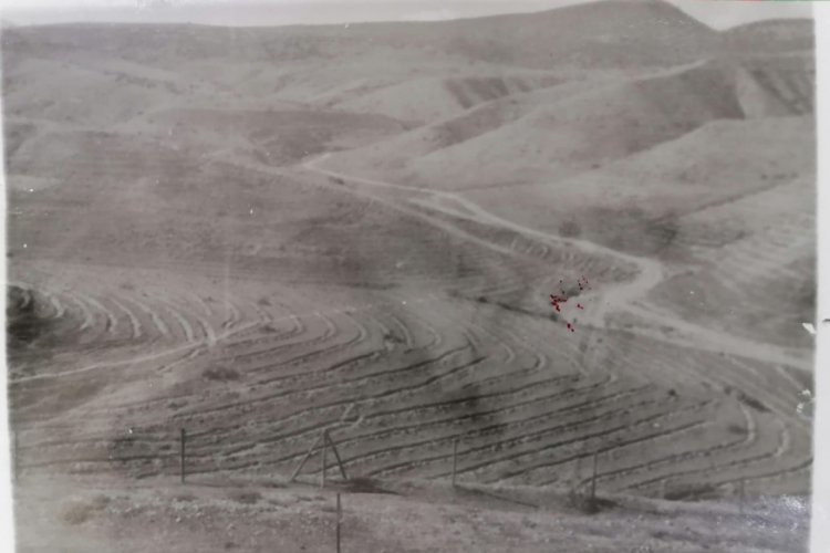 &Ccedil;orak arazi 40 yılda ormana d&ouml;n&uuml;şt&uuml;r&uuml;ld&uuml;